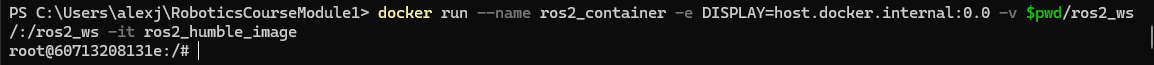 Running a docker container.